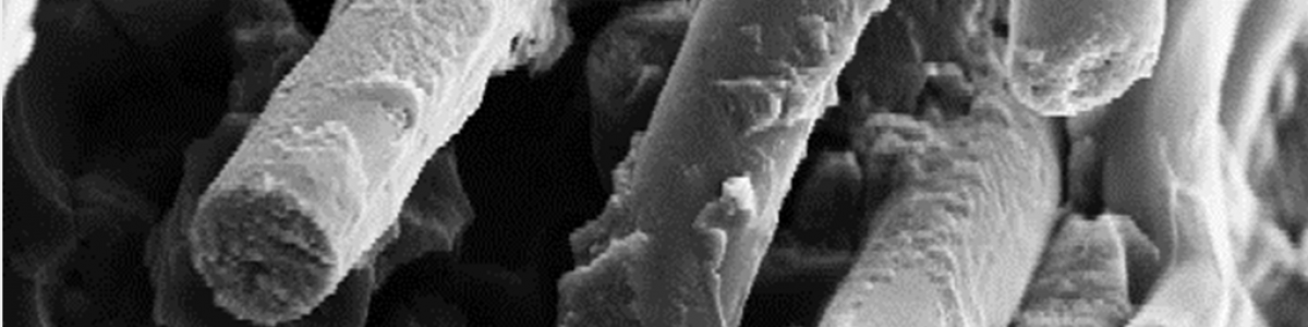 Cure Kinetics Modelling for Fast Curing of Tough Thermoset Polymer Composites